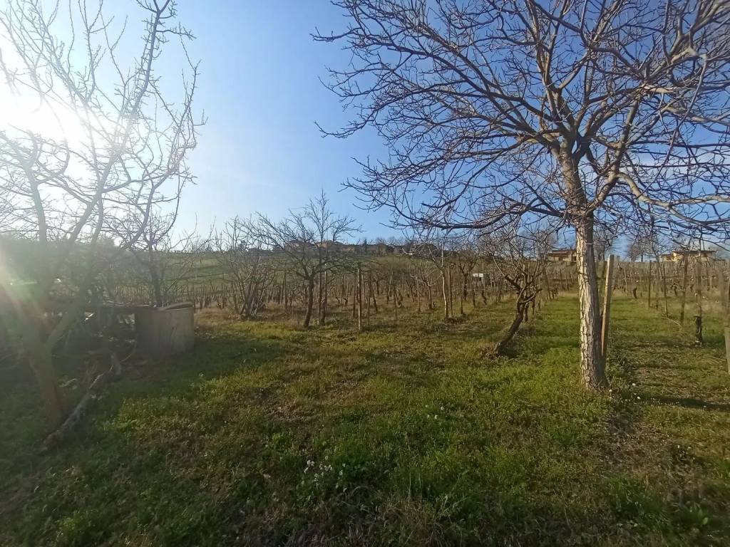 Terreno a Ziano piacentino - Foto 2