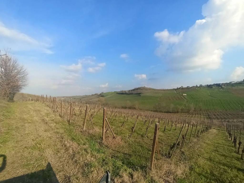 Terreno a Ziano piacentino - Foto 3
