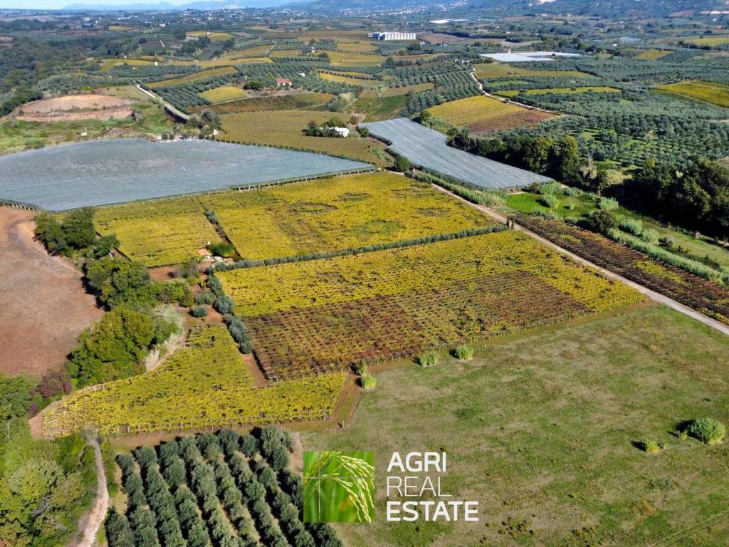 Terreno a Cori in Via Cori-Cisterna - Foto 2