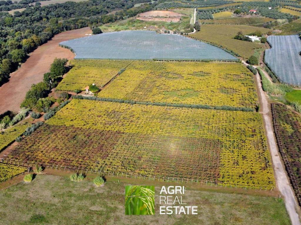 Terreno a Cori in Via Cori-Cisterna - Foto 4