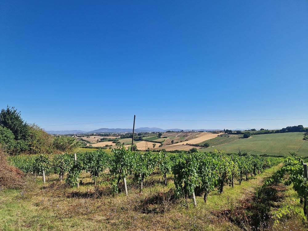 Rustico / casale a Marsciano in Vocabolo Colle, 15 - Foto 5