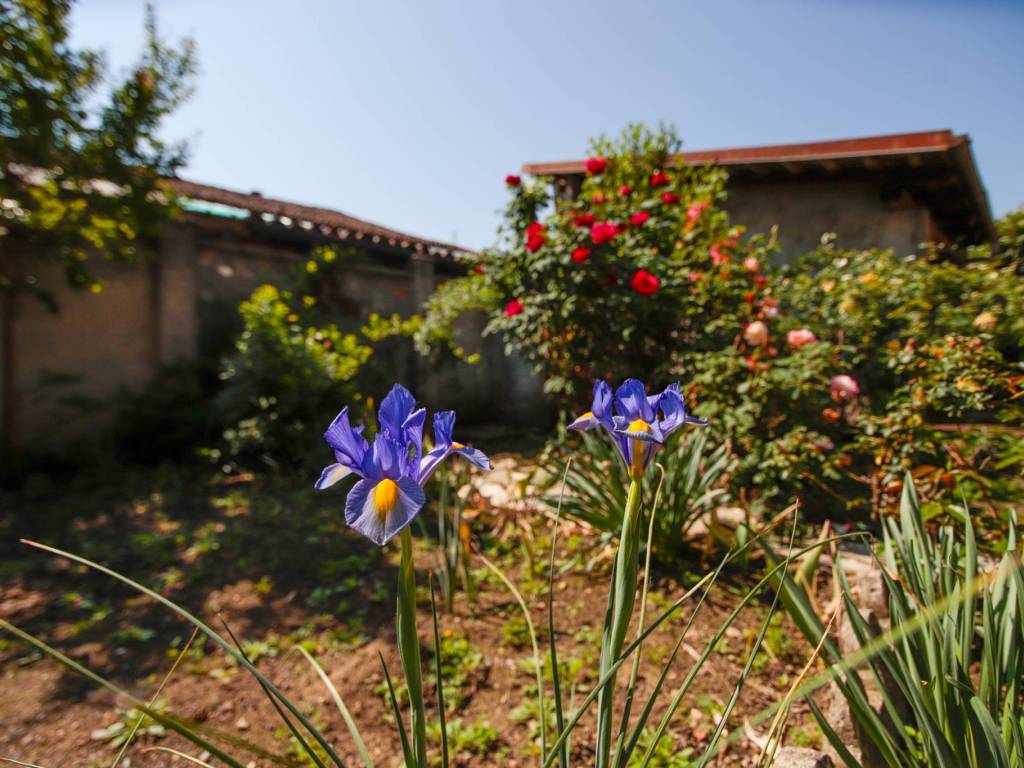 Casa indipendente a Montanaro in Via Giuseppe Garibaldi, 50 - Foto 5