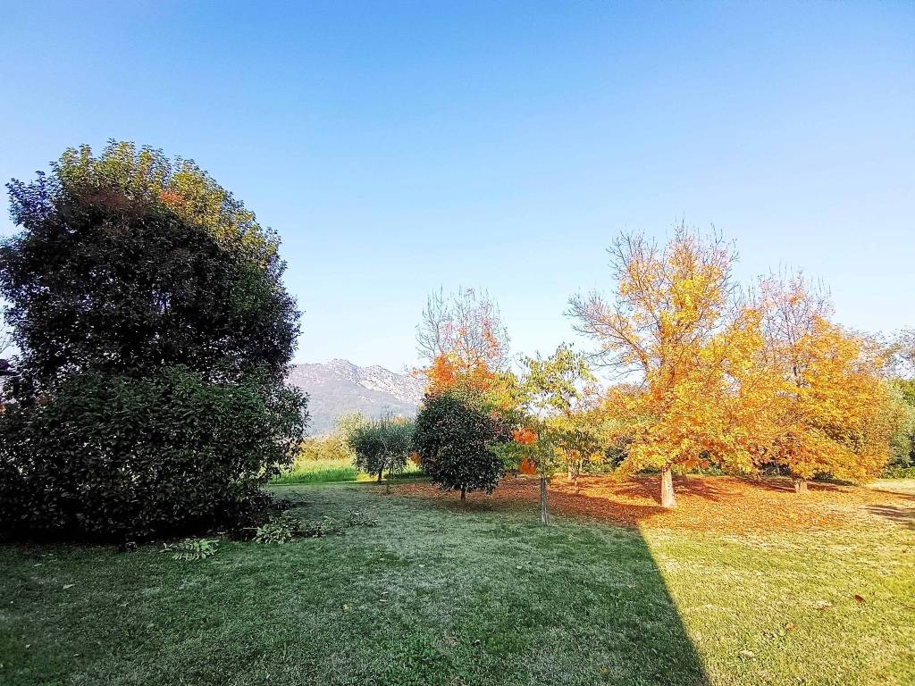 Rustico / casale a Brisighella - Foto 2