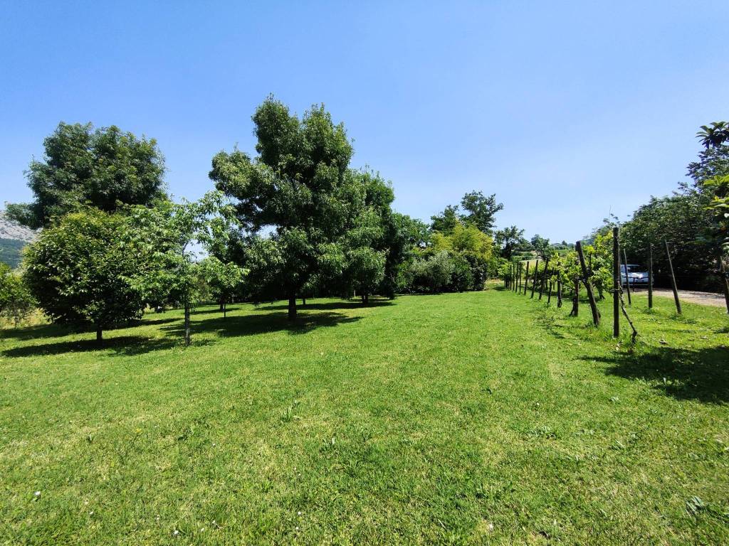 Rustico / casale a Brisighella - Foto 3