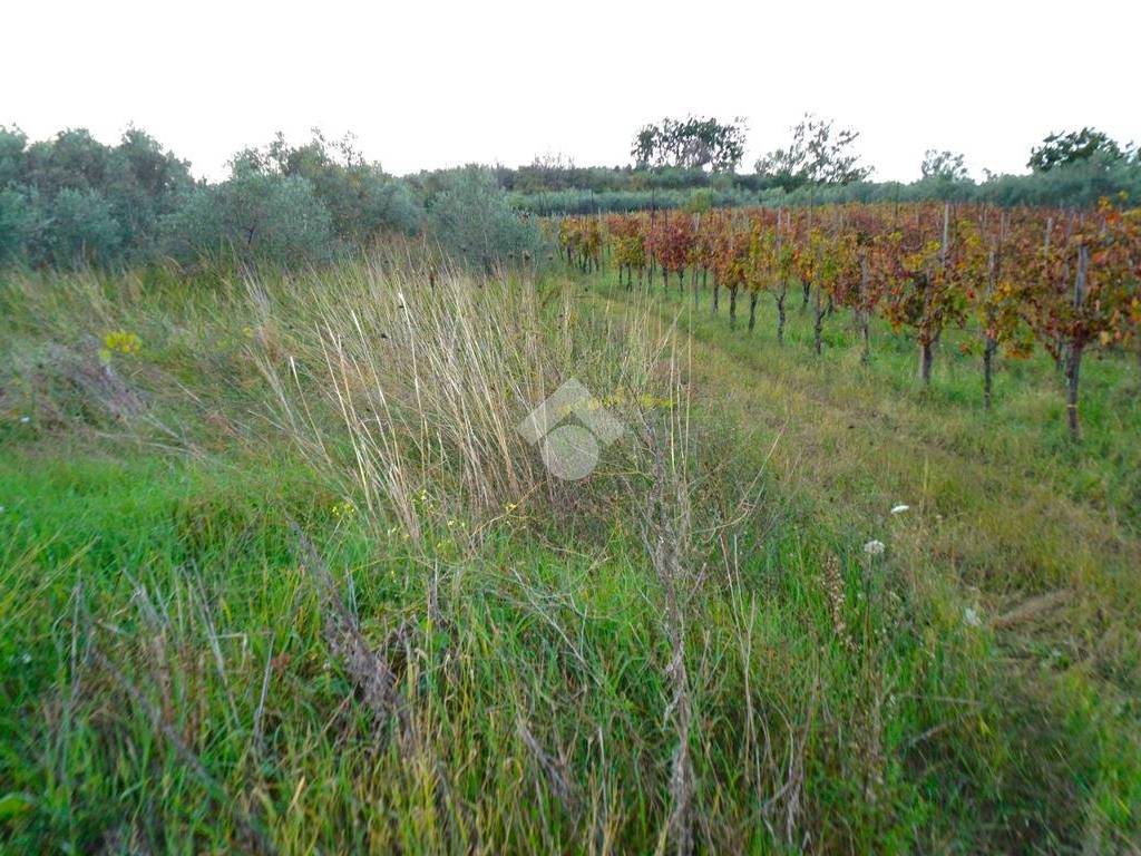 Terreno a Montecorvino pugliano in Via Macchia Morese - Foto 3
