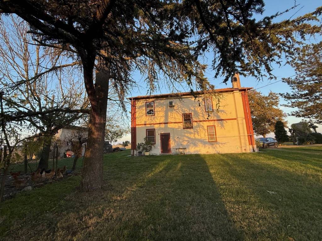 Rustico / casale a Molinella in Via Oriolo, 2 - Foto 5