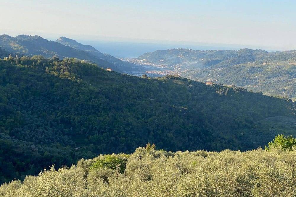 Villa a Dolceacqua - Foto 5