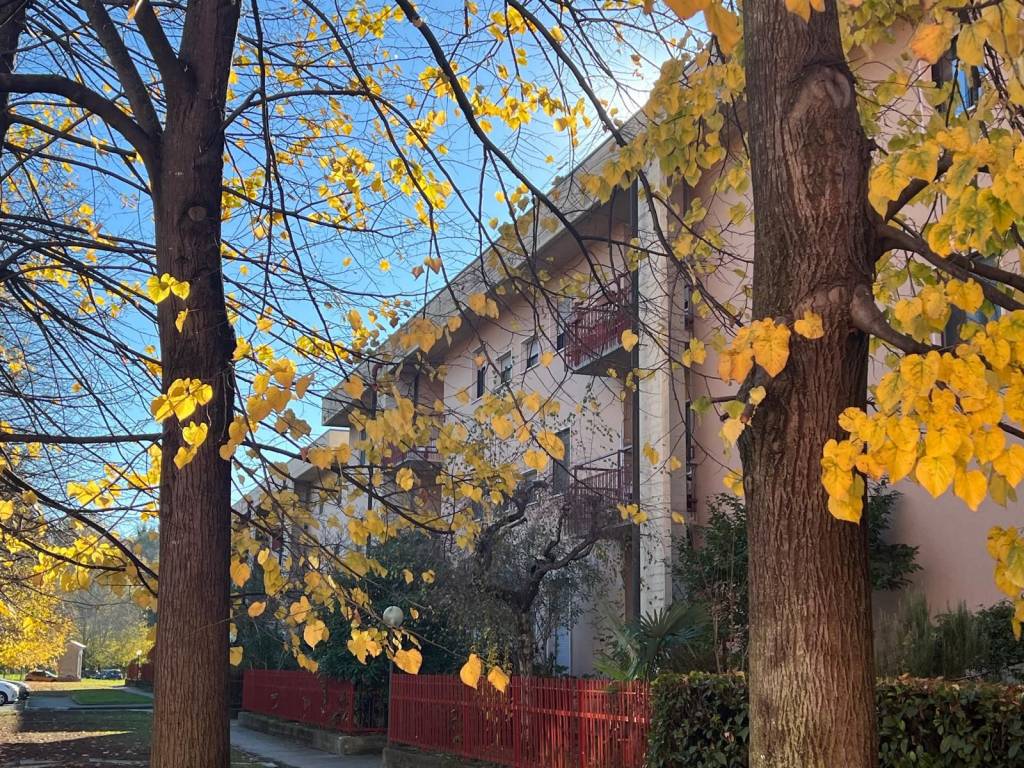 Appartamento a Banchette in Via Pavone - Foto 2