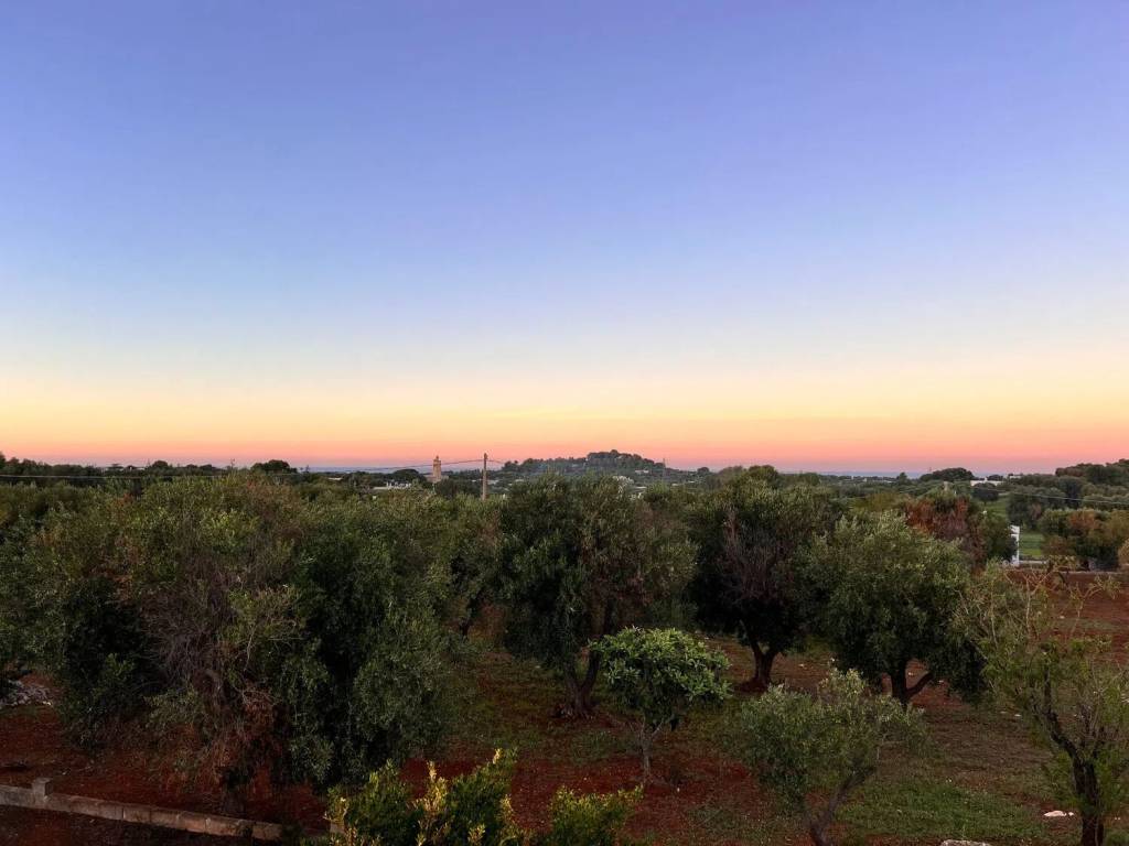 Rustico / casale a Ostuni - Foto 3