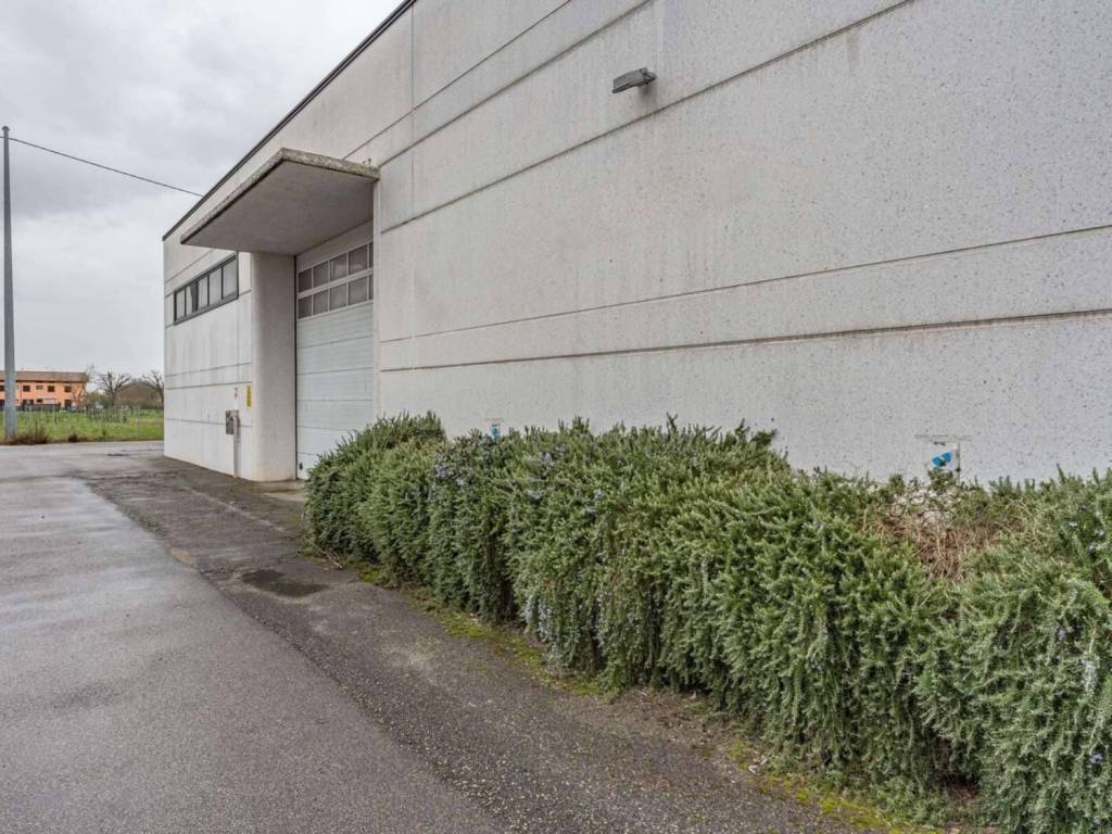 Immobile a Altopascio in Corte Luini, 55011 Spianate LU, Italia - Foto 2