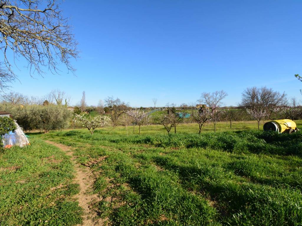 Casa indipendente a Misano adriatico - Foto 4