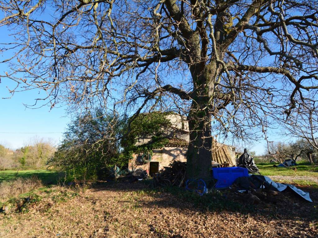 Casa indipendente a Misano adriatico - Foto 5