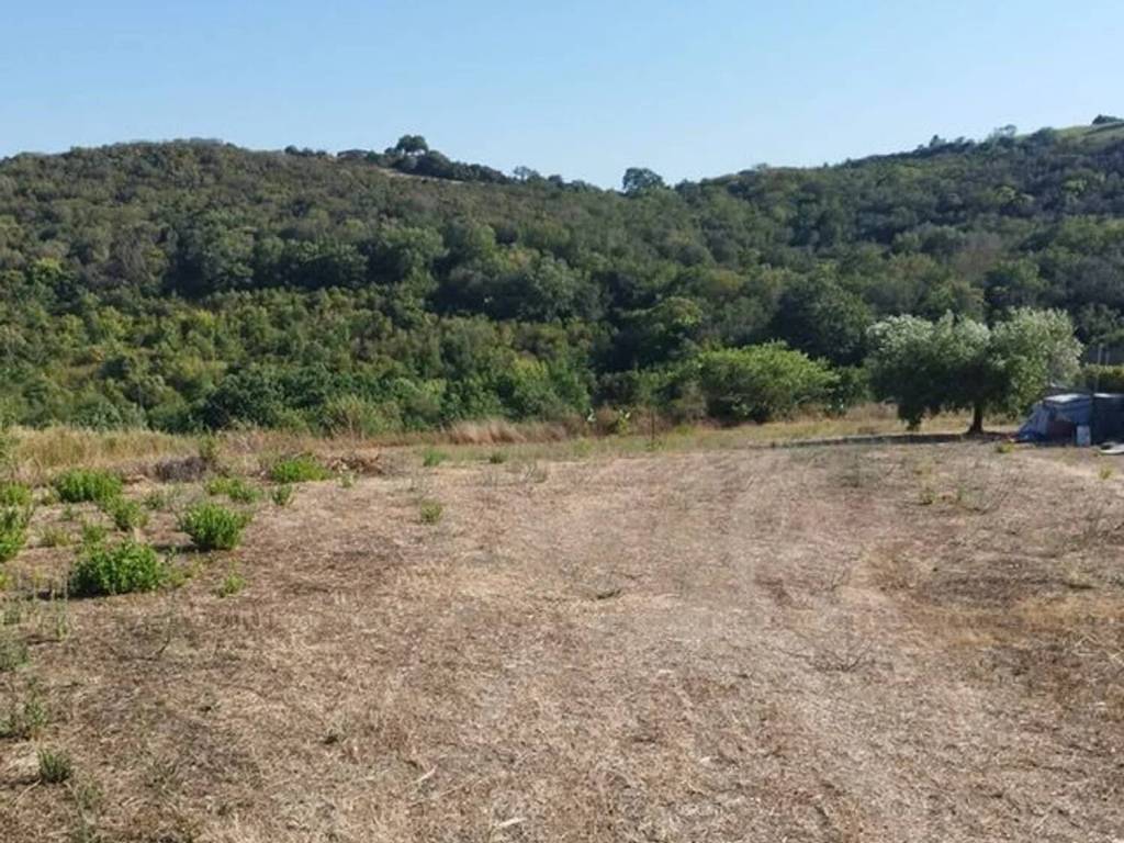 Terreno a Santa marinella in Via Colfiorito No Number - Foto 2