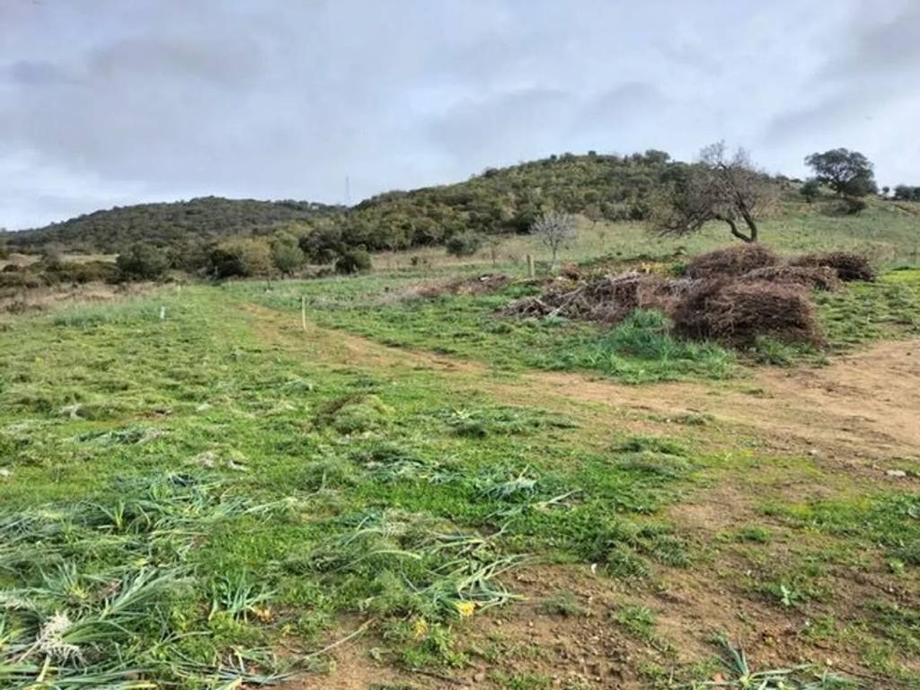 Terreno a Santa marinella in Via Aurelia Vecchia No Number - Foto 2