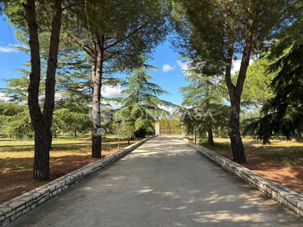Villa a Andria in Contrada Coda di Volpe - Foto 3