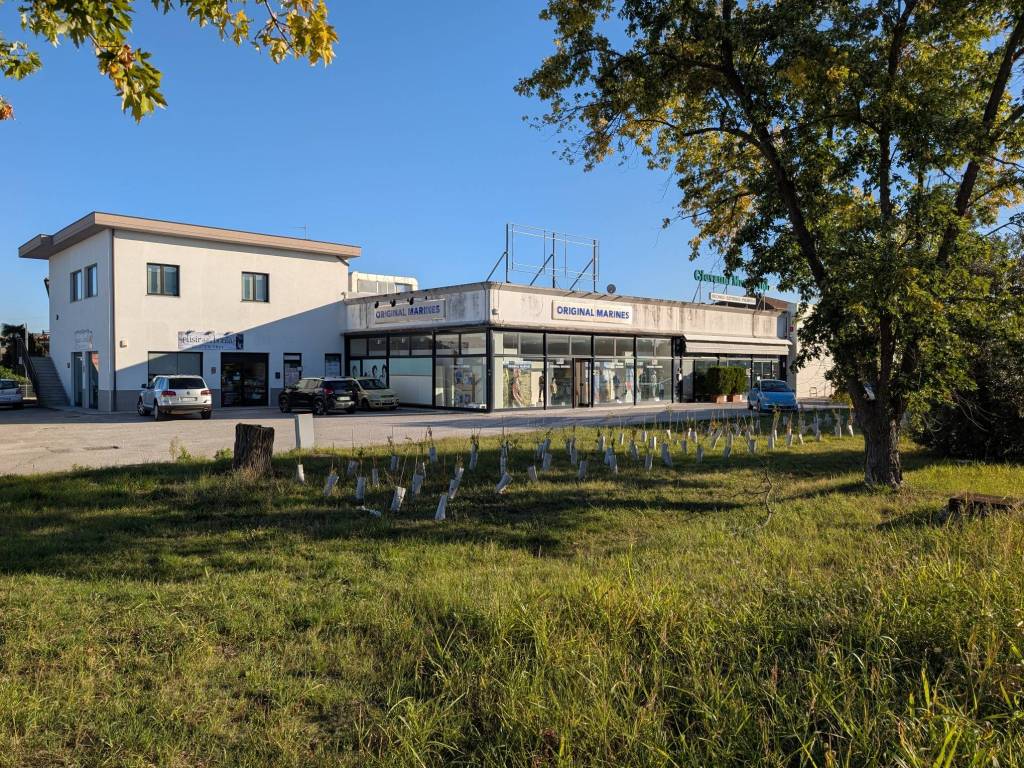 Immobile a Jesi in Via Archimede Pasquinelli, 23 - Foto 2