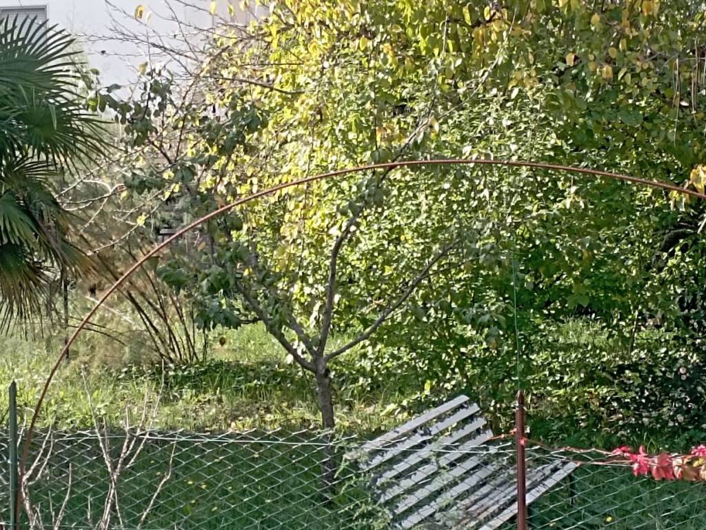 Appartamento a Formia in Via Sparanise Tratto 1 - Foto 2