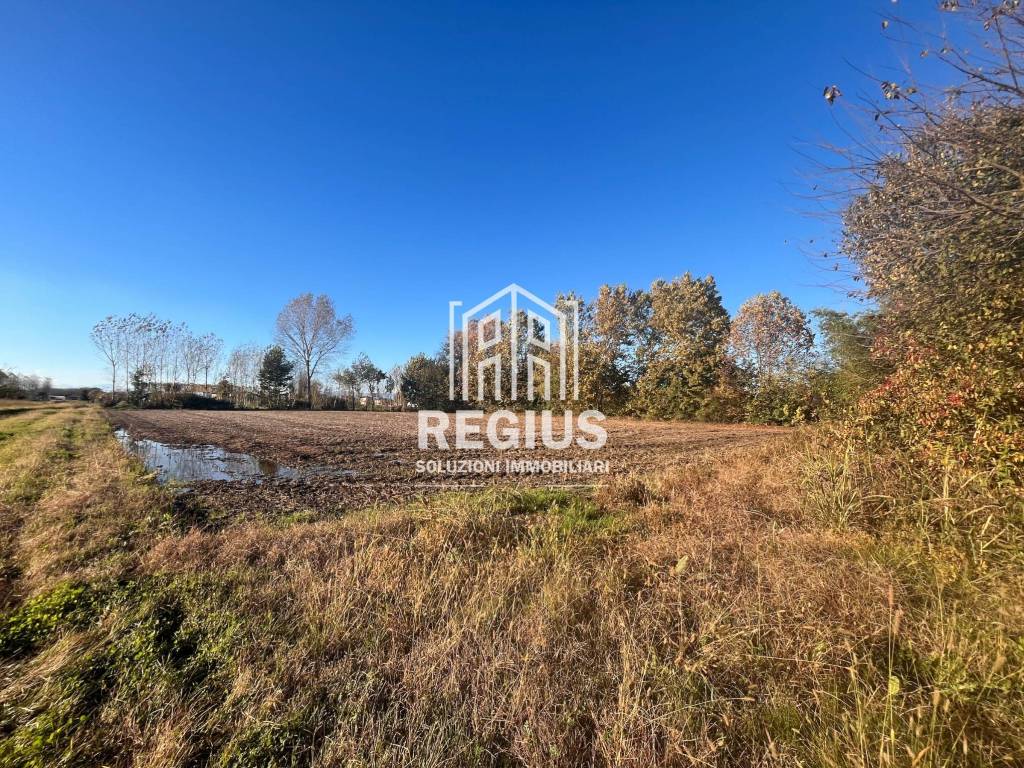 Rustico / casale a Camposampiero in Via Colombaretta, 25 - Foto 5