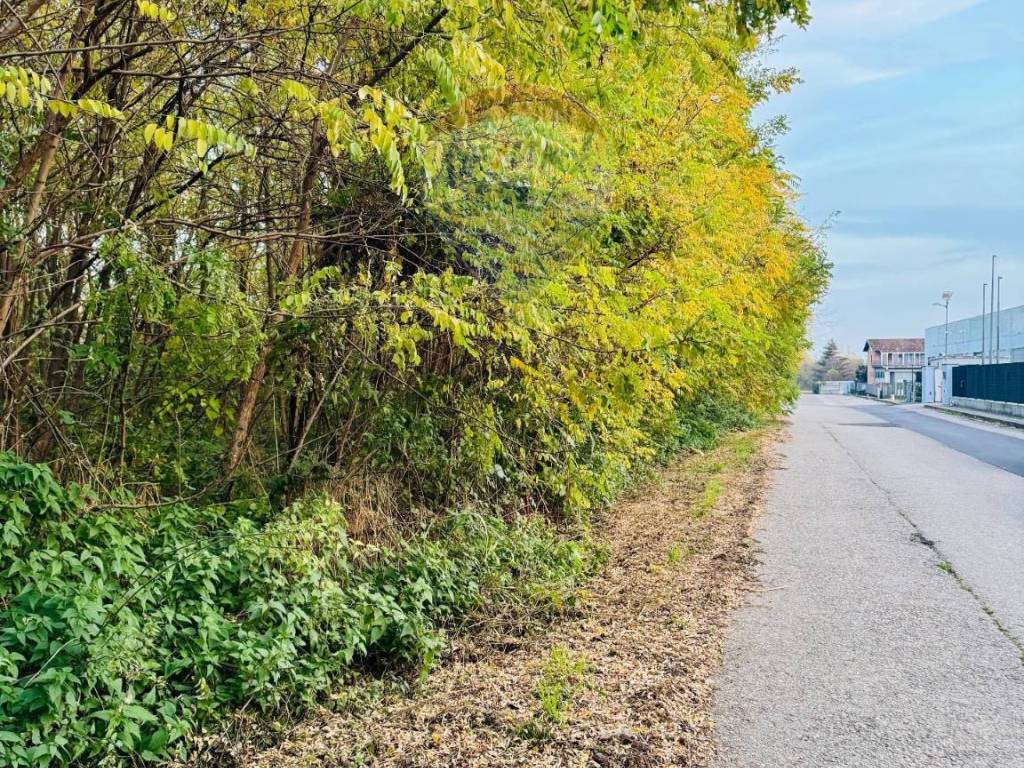 Terreno a Romagnano sesia - Foto 4