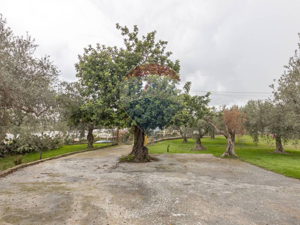 Casa indipendente a Chiaramonte gulfi in C.da Dicchiara - Foto 5