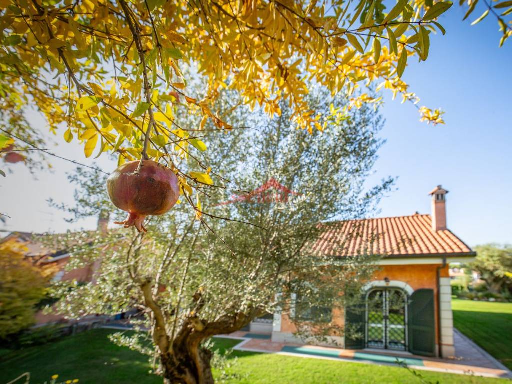 Villa a Grottaferrata in Via Padre Antonio Rocchi - Foto 3