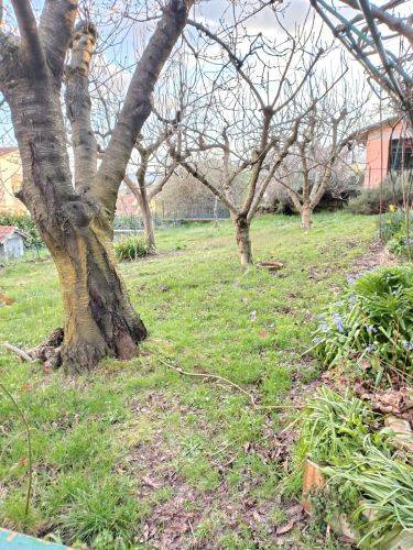 Villa a Santa fiora in Via Pratesi - Foto 4