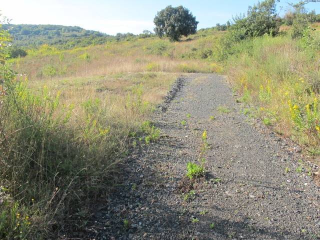 Rustico / casale a Castelnuovo di val di cecina - Foto 3