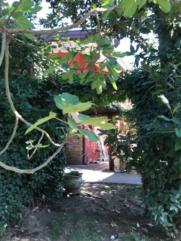 Villa a Rocca di papa in Via Valle Pantano - Foto 5