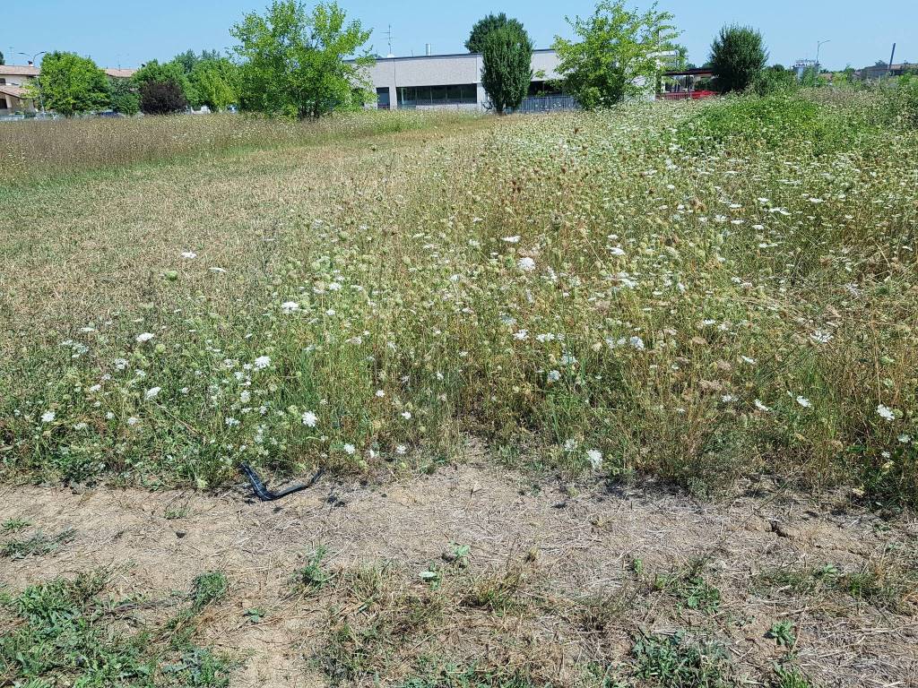 Terreno a Gossolengo in Via Paolo VI - Foto 4
