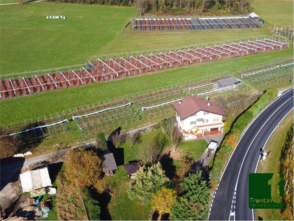 Terreno a Roncegno terme in LOCALITÀ MARTER, LONGORE - Foto 4
