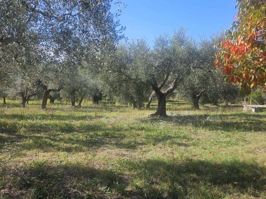 Terreno a Guidonia montecelio in Strada per Sant'Angelo Romano - Foto 3