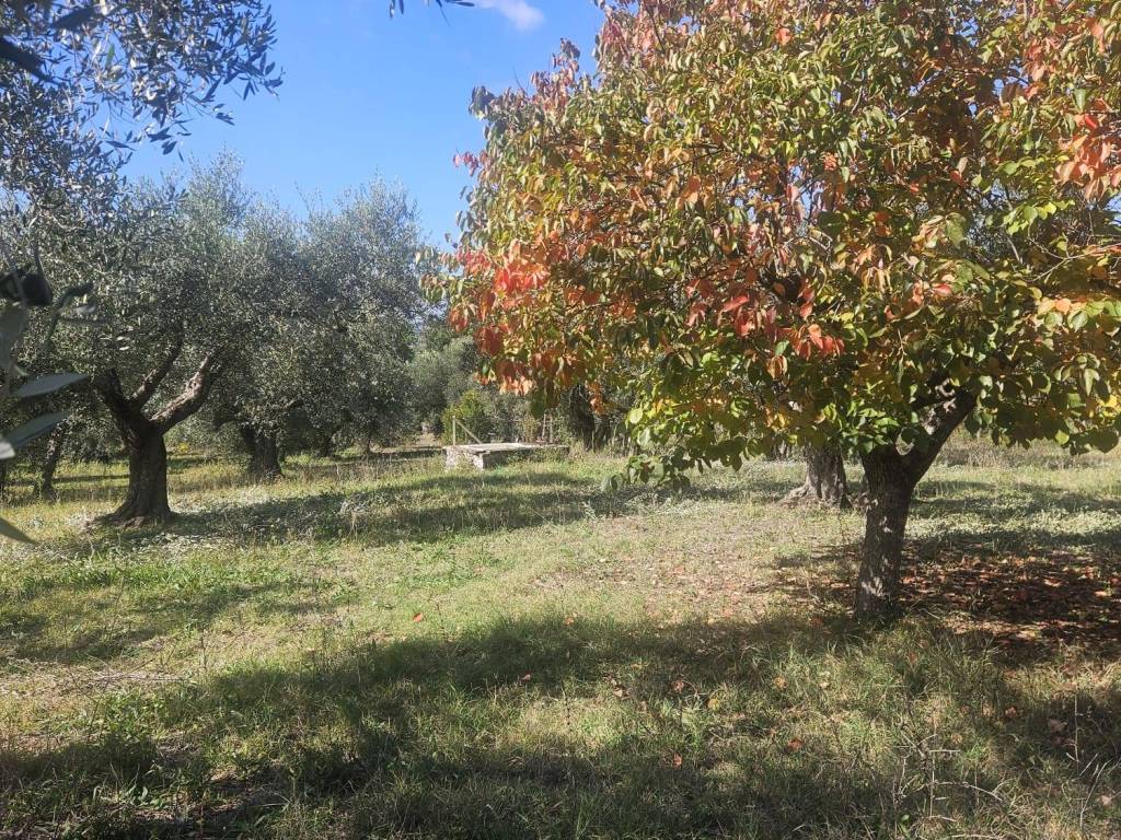 Terreno a Guidonia montecelio in Strada per Sant'Angelo Romano - Foto 4