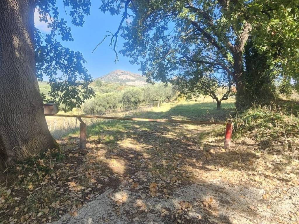 Terreno a Guidonia montecelio in Strada per Sant'Angelo Romano - Foto 5