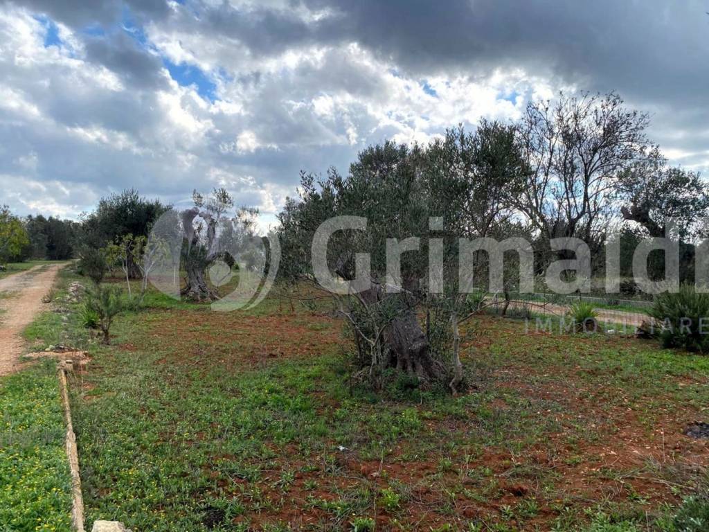 Terreno a Sannicola in località cimino, 0 - Foto 4