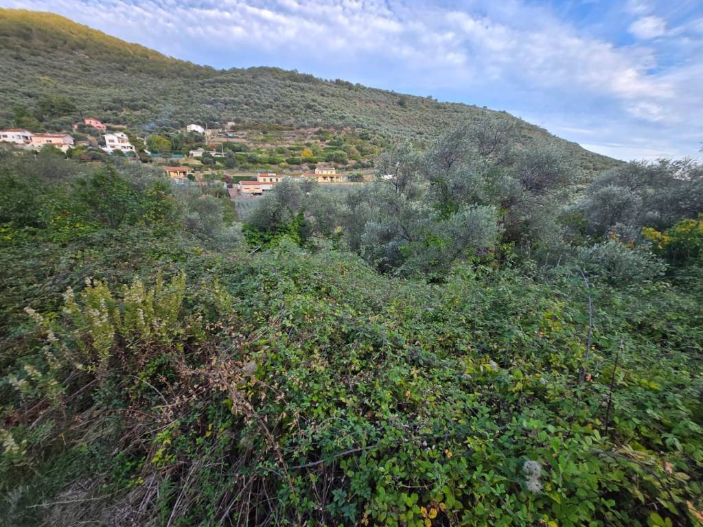 Terreno a Castellaro in Via Pompeiana - Foto 2