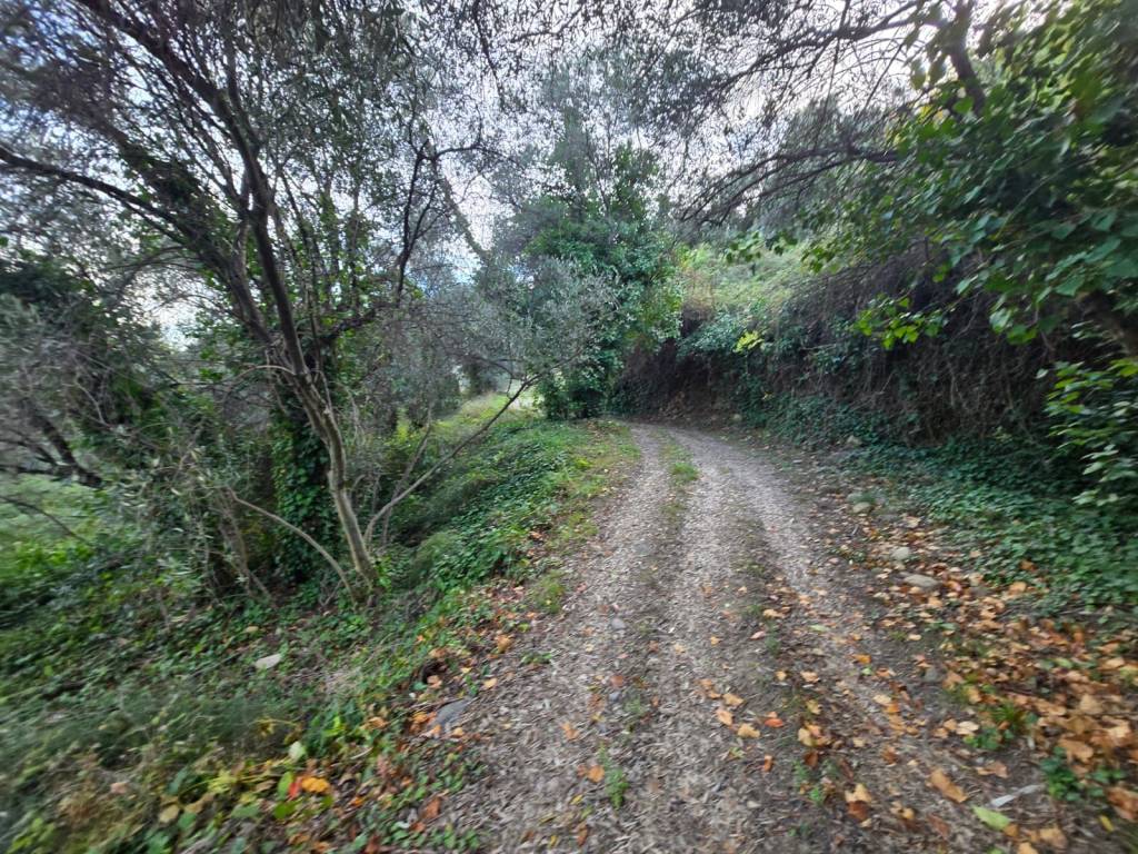 Terreno a Castellaro in Via Pompeiana - Foto 5