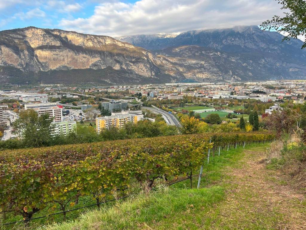 Terreno a Trento in Località Martignano, 64 - Foto 3