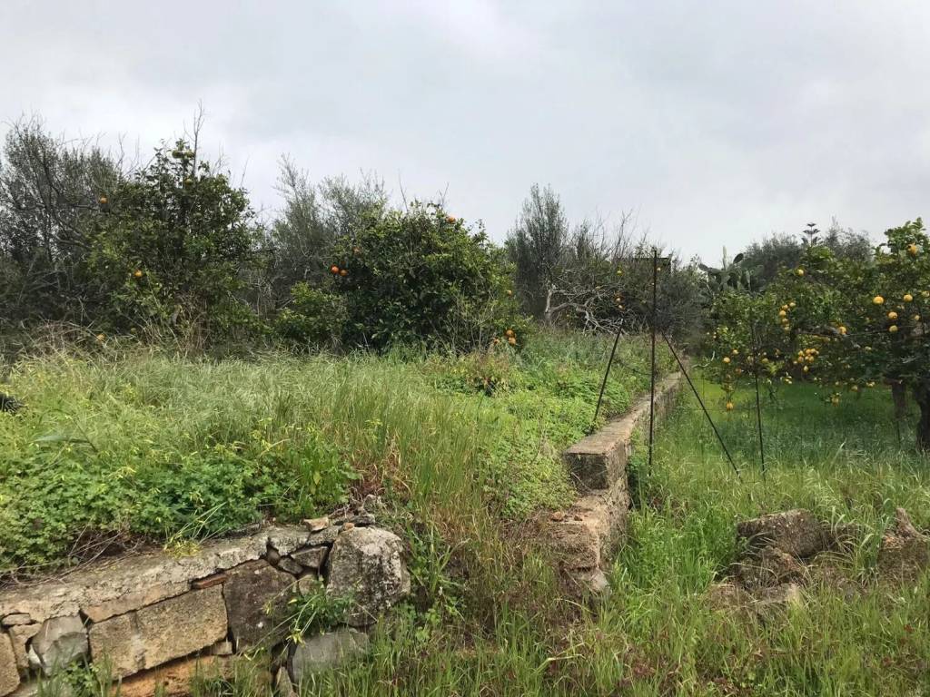 Terreno a Casteldaccia in Contrada Cefala' No Number - Foto 4