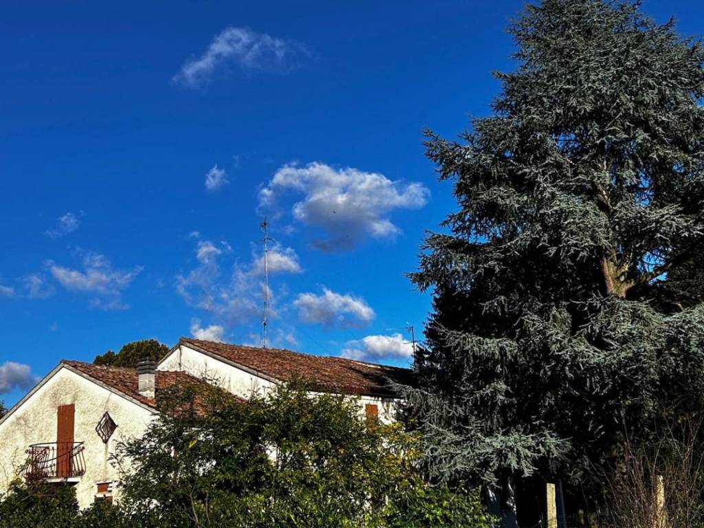 Villa a Ferrara in Via Palmirano, 13 - Foto 4