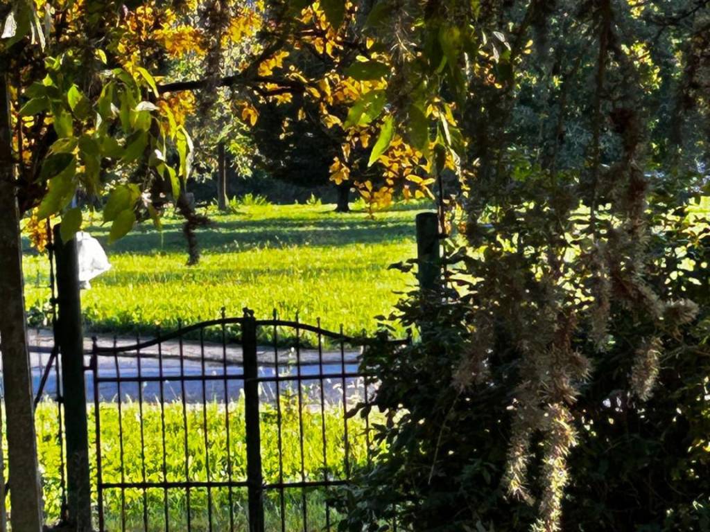 Villa a Ferrara in Via Palmirano, 13 - Foto 5