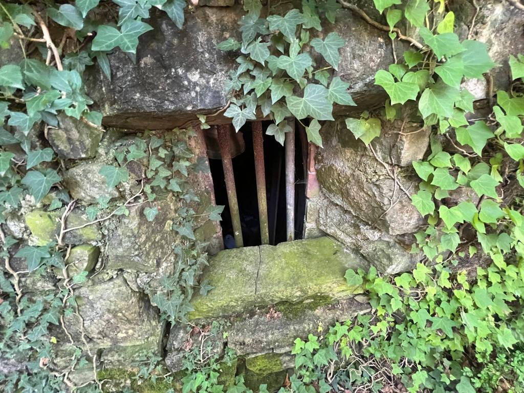 Rustico / casale a San dorligo della valle - dolina in Dolina - Foto 2