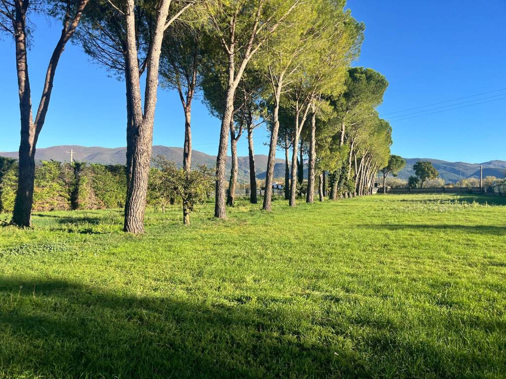 Terreno a Spoleto in Via Flaminia, 2 - Foto 2