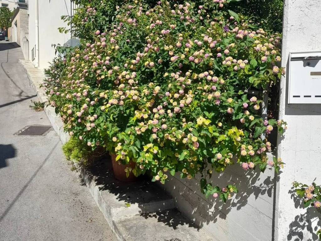 Appartamento a Ginosa in Via Camelie No Number - Foto 3