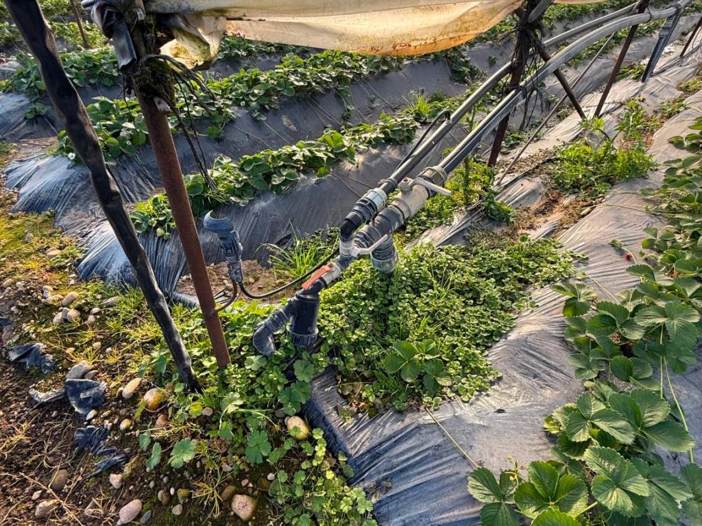 Terreno a San giovanni lupatoto in Via Fossa Crear - Foto 5