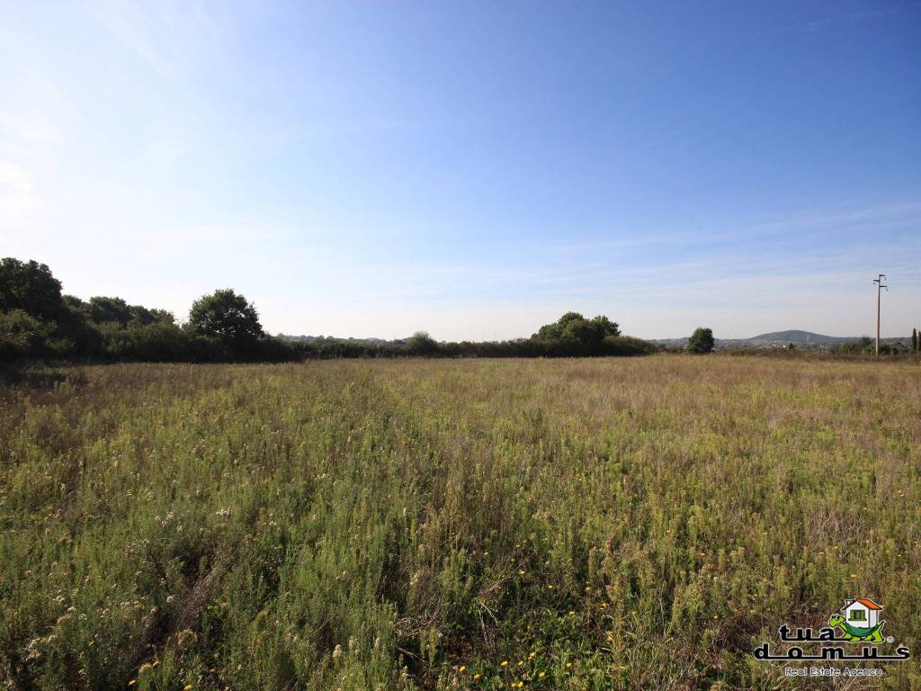 Terreno a Monterosi in Via della Salivotta snc - Foto 5