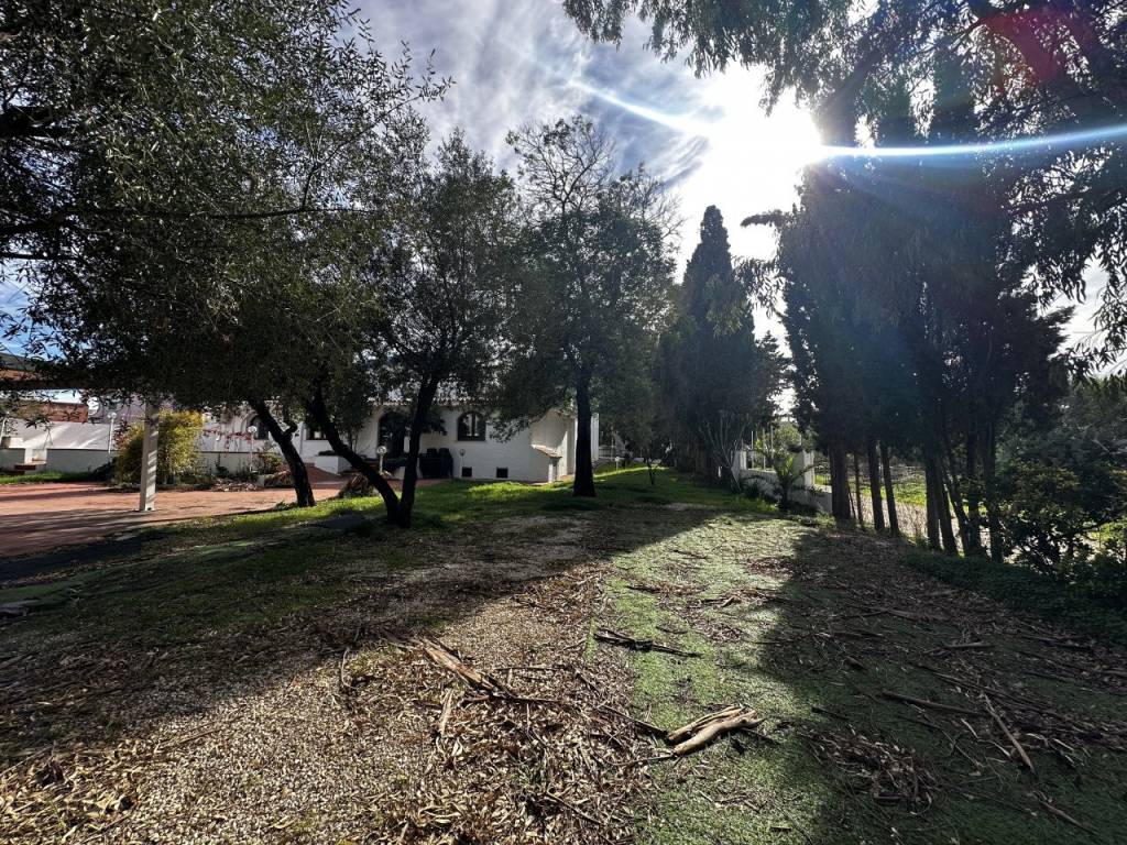 Palazzo / stabile a Posada in via londra - Foto 3