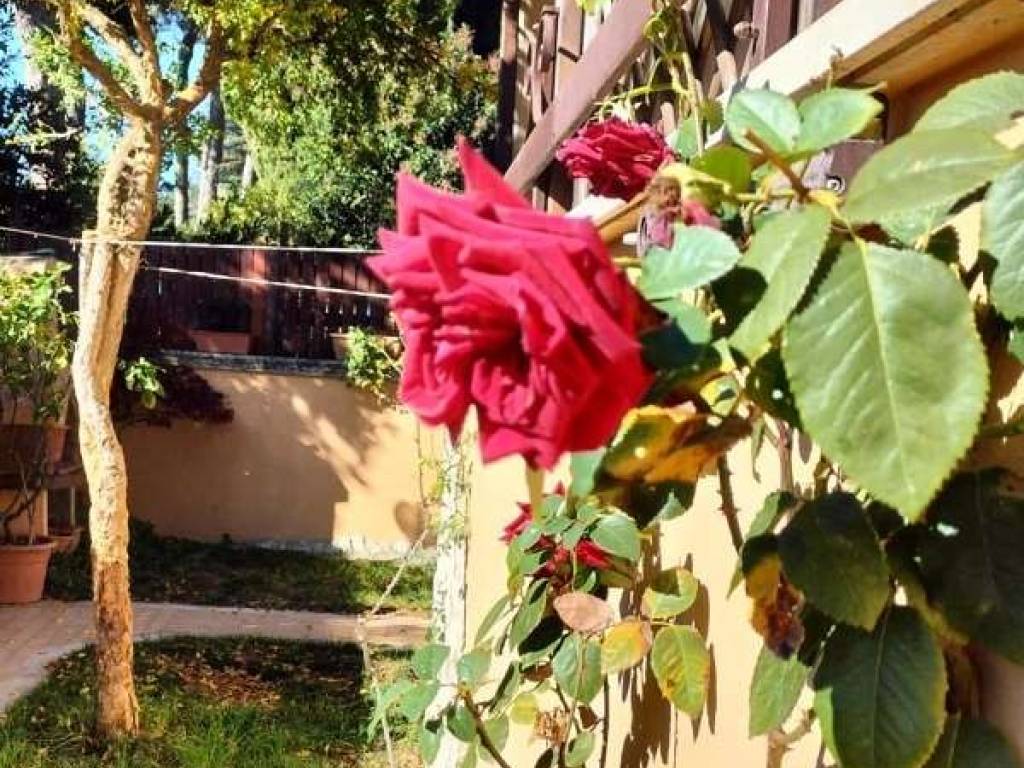 Villetta a schiera a Genzano di roma in Via Bologna , 15 - Foto 5