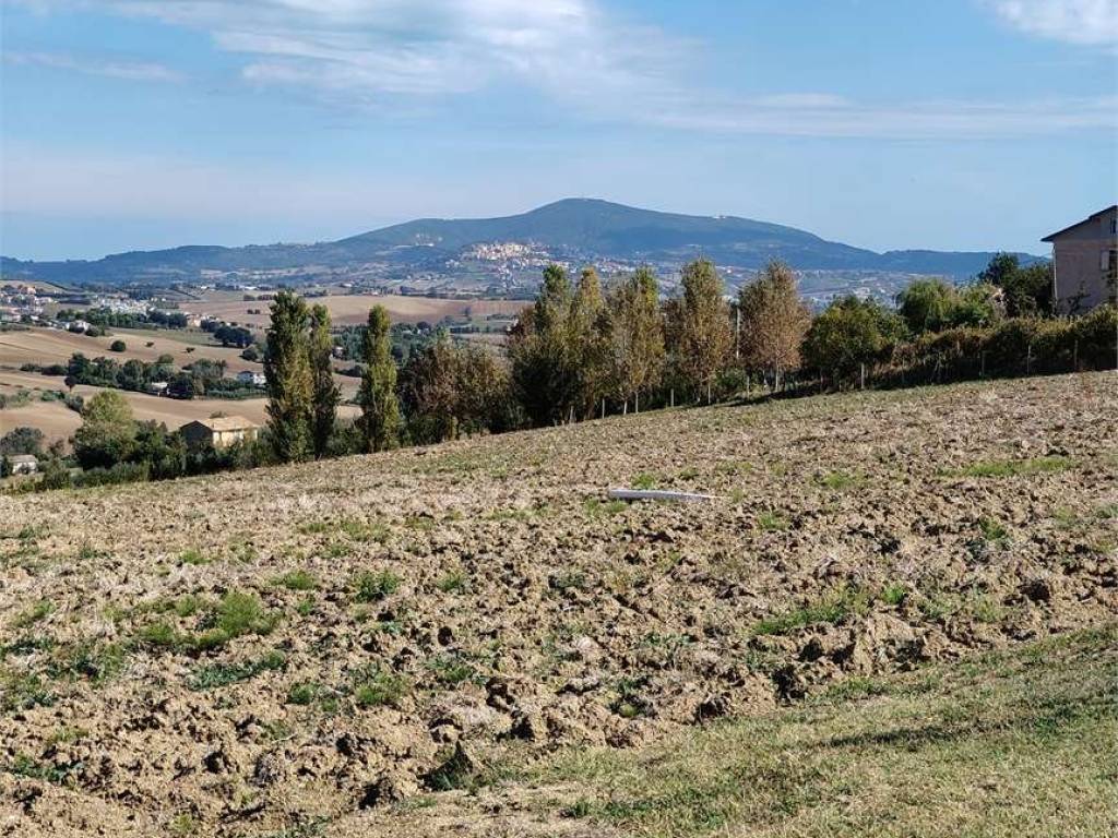 Terreno a Osimo in via Castagna - Foto 5