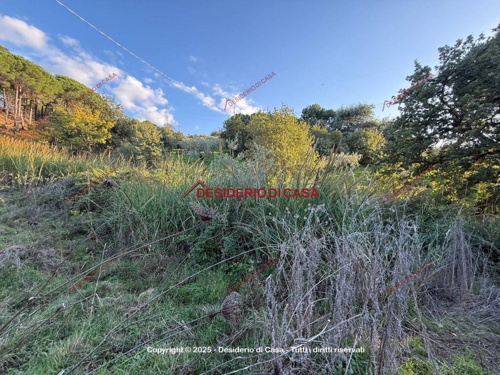 Terreno a Gratteri in Contrada Rapputi - Foto 3