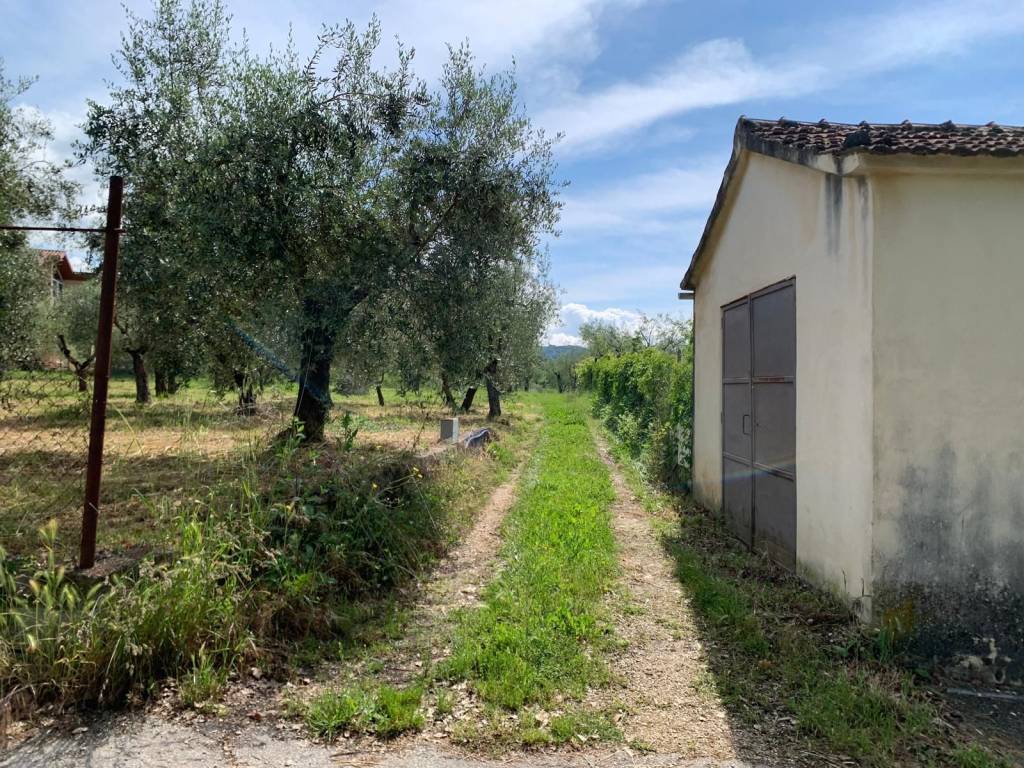 Terreno a Isernia in Contrada Castagna - Foto 2
